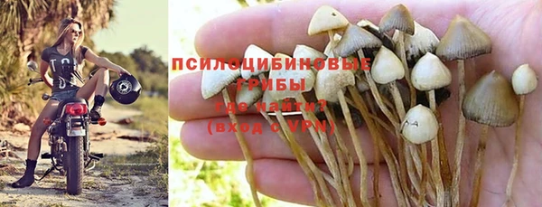 скорость Балахна