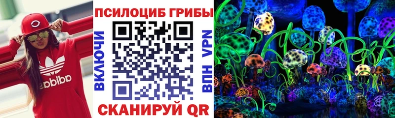 Псилоцибиновые грибы Psilocybine cubensis  Горно-Алтайск 