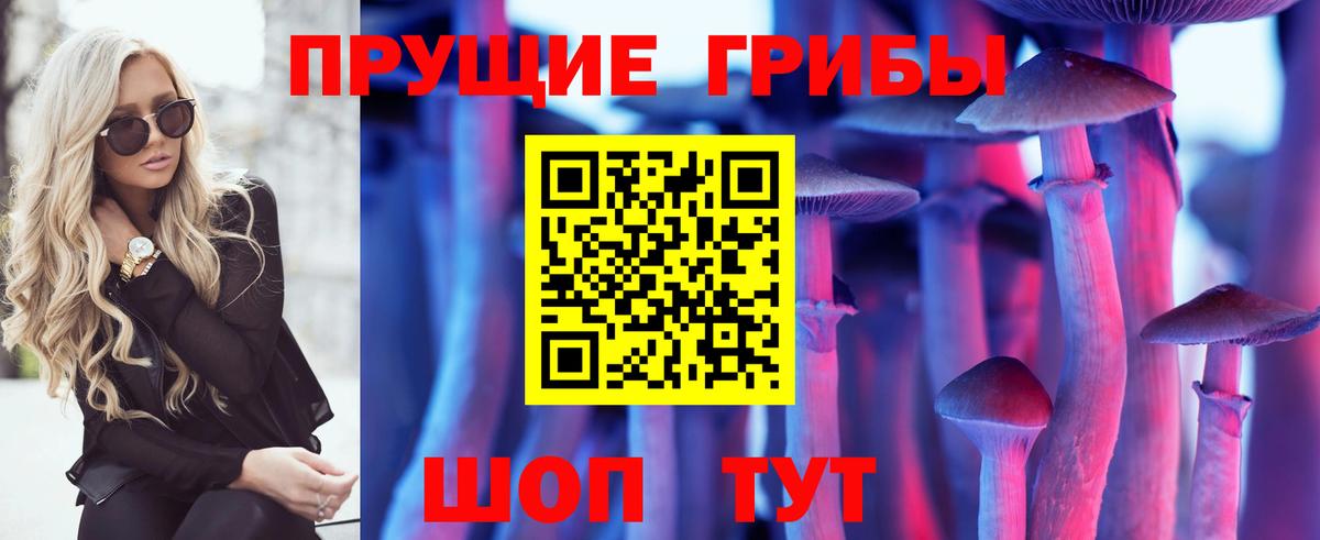 Горно-Алтайск  Псилоцибиновые грибы Magic Shrooms  Вход с VPN 